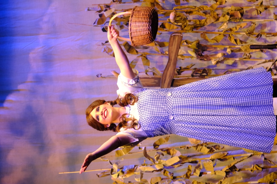 The Wizard of Oz - The Panto