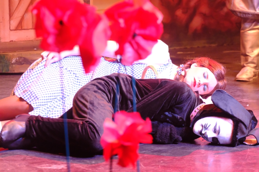 The Wizard of Oz - The Panto
